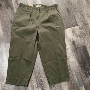 Talbots Chino 16W Olive NWT